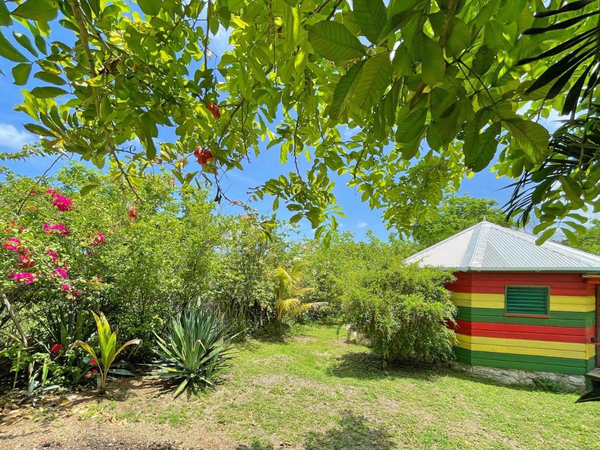 Judy House 2 - Lewis Backpacker Hostel Little Bay Quarto foto
